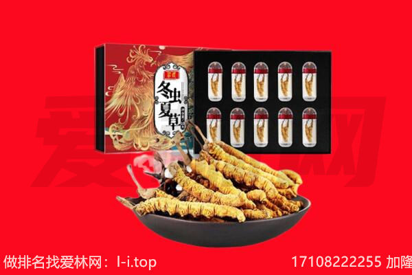 莫力达瓦旗回收虫草.jpg